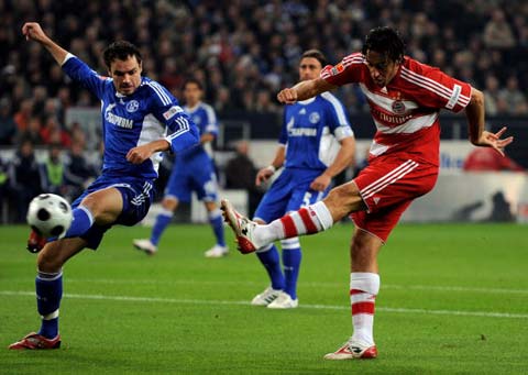 不可忽视的 不可忽视的